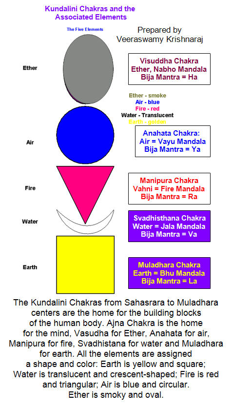 Differences between types of yoga: Satyananda, Hatha, Raja, Nidra,  Kundalini, Nothing and Meditation –